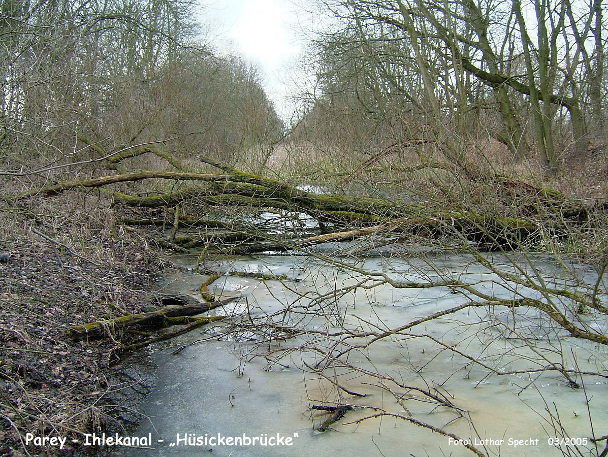 21-Parey-Am_alten_Ihlekanal-2005_03_20-003 Kopie.jpg